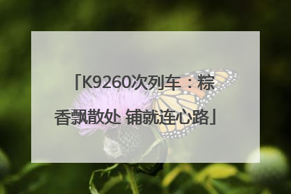 K9260次列车：粽香飘散处 铺就连心路