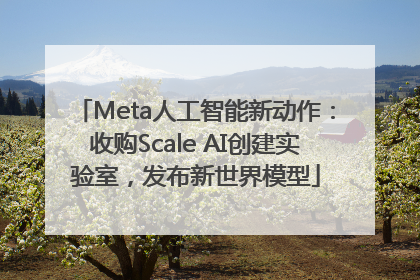 Meta人工智能新动作：收购Scale AI创建实验室，发布新世界模型